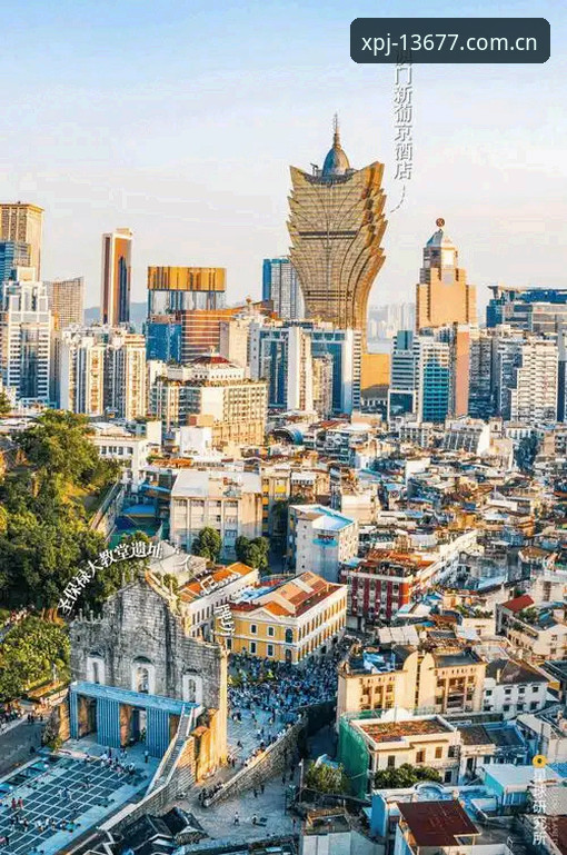 新浦京下载 新浦京娱乐平台深度评测:官方正版入口与下载体验全解析